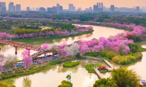 Haizhu National Wetland Park-guangzhou